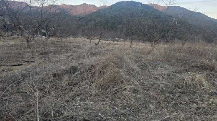 경북 칠곡군 기산면 대지,임야,전답 경매 물건 사진 6 · 2025타경10107
