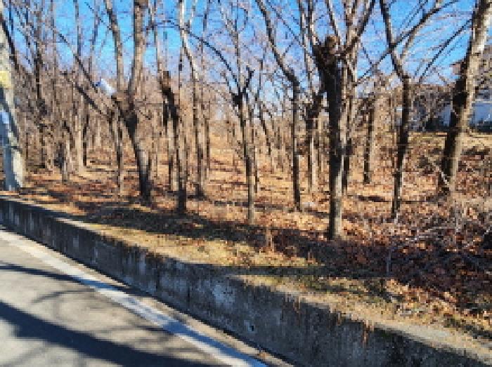 경북 경산시 와촌면 전답 경매 물건 사진 4 · 2025타경10119