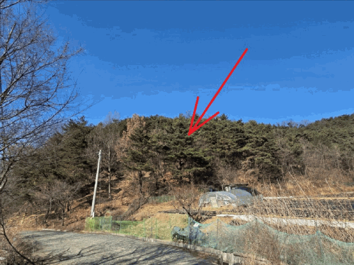 경북 칠곡군 가산면 임야 경매 물건 사진 6 · 2025타경10202