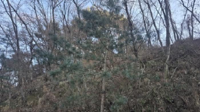 경북 칠곡군 가산면 임야 경매 물건 사진