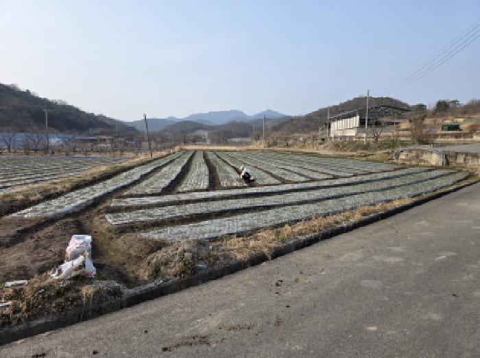 경북 청도군 각북면 전답 경매 물건 사진 4 · 2025타경10221