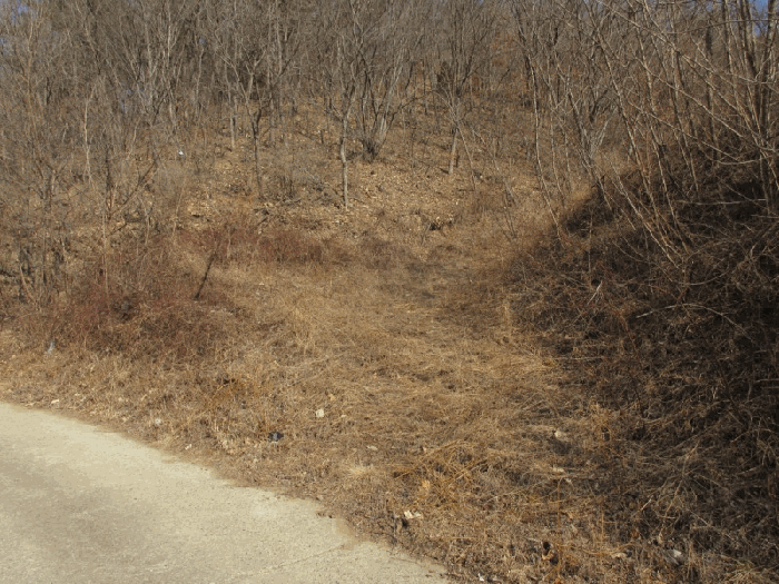 경상북도 영천시 화남면 월곡리 832 대지,임야,전답 경매 물건 사진
