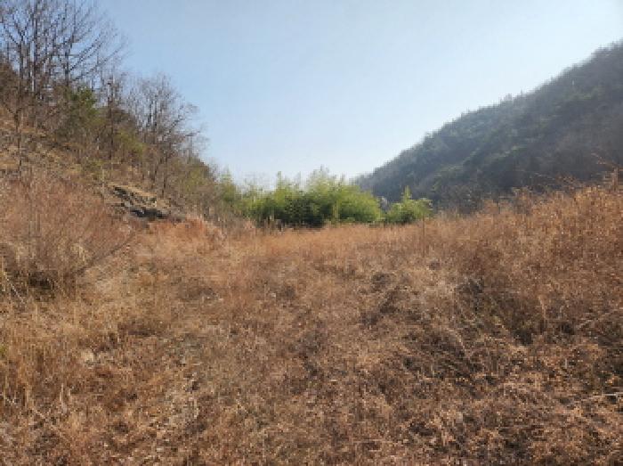 경북 영천시 화남면 대지,임야,전답 경매 물건 사진
