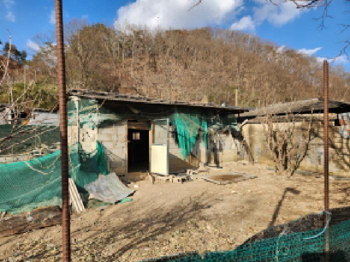 경북 영천시 자양면 대지,임야,전답 경매 물건 사진 3 · 2025타경10226