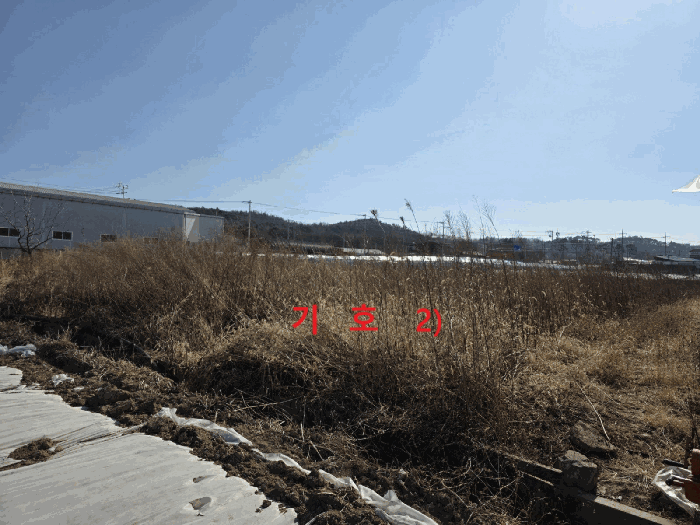 경북 영천시 대전동 대지 경매 물건 사진 6 · 2025타경10234