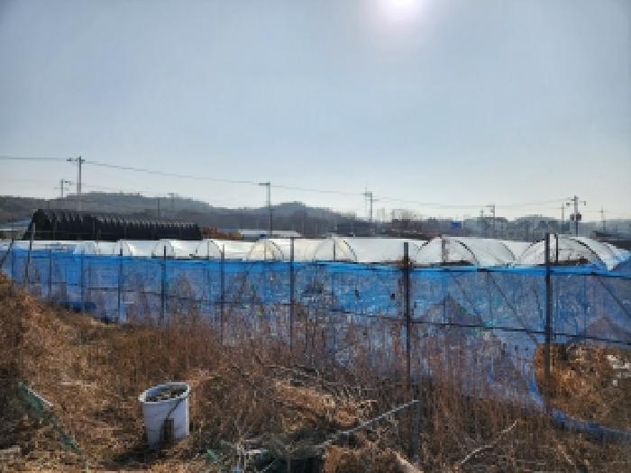 경북 영천시 대전동 대지 경매 물건 사진 3 · 2025타경10234