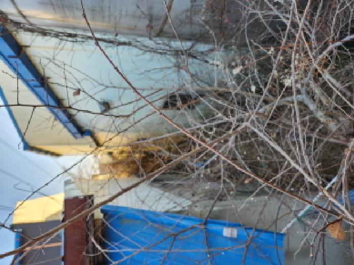 경북 영천시 고경면 공장/지식산업센터 경매 물건 사진