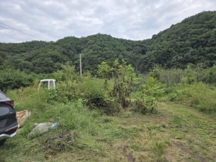 경북 영천시 화남면 창고시설 경매 물건 사진 5 · 2025타경1046