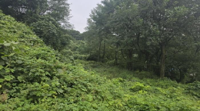 경북 칠곡군 가산면 임야 경매 물건 사진 2 · 2025타경1051