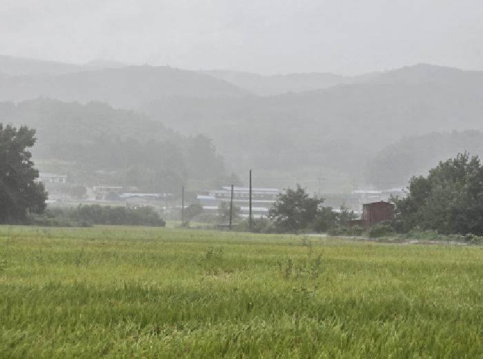 경북 영천시 북안면 답 경매 물건 사진