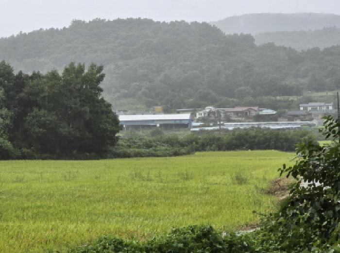 경북 영천시 북안면 답 경매 물건 사진 2 · 2025타경1094