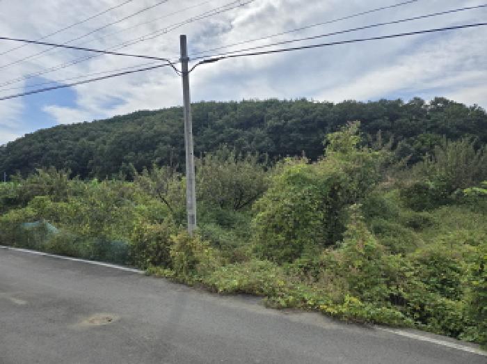 경북 영천시 서산동 답 경매 물건 사진
