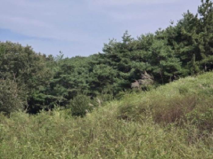 경북 영천시 서산동 전 경매 물건 사진 2 · 2025타경1109