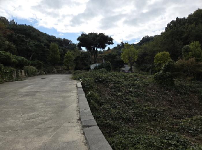 경북 경산시 남산면 임야 경매 물건 사진