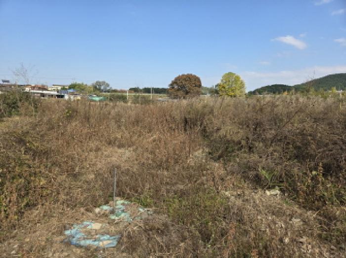 경북 경산시 자인면 대지,임야,전답 경매 물건 사진 3 · 2025타경1139