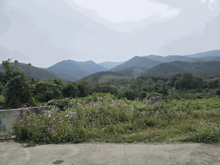 경북 칠곡군 가산면 도로 경매 물건 사진 4 · 2025타경1142