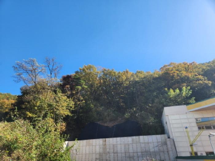 대구 북구 매천동 임야 경매 물건 사진