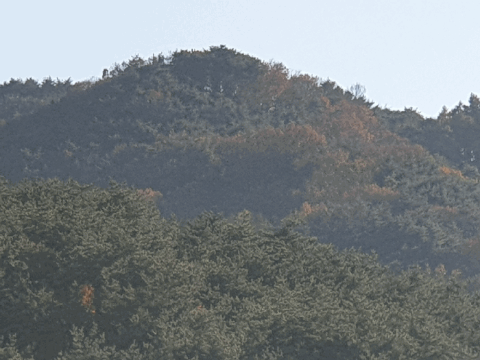 경북 칠곡군 약목면 임야 경매 물건 사진 4 · 2025타경1231