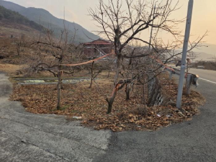 경북 청도군 청도읍 단독주택 경매 물건 사진
