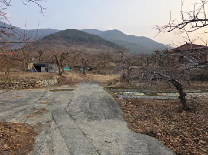 경북 청도군 청도읍 단독주택 경매 물건 사진 3 · 2025타경1251