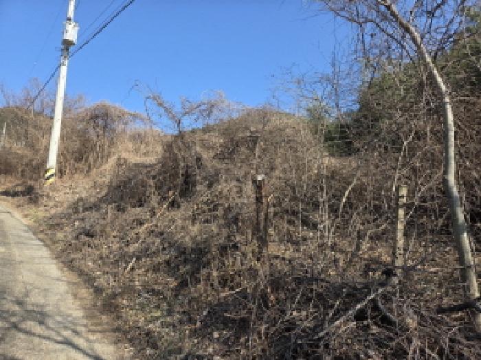 경북 경산시 용성면 대지,임야,전답 경매 물건 사진 2 · 2025타경1252