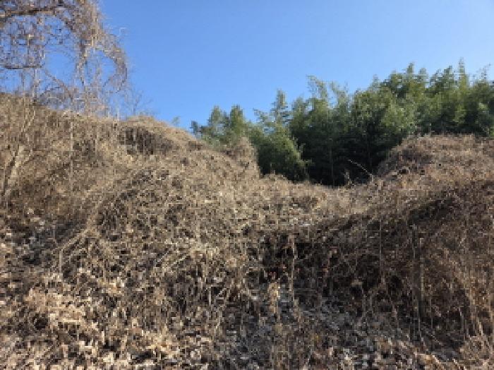 경북 경산시 용성면 대지,임야,전답 경매 물건 사진 3 · 2025타경1252