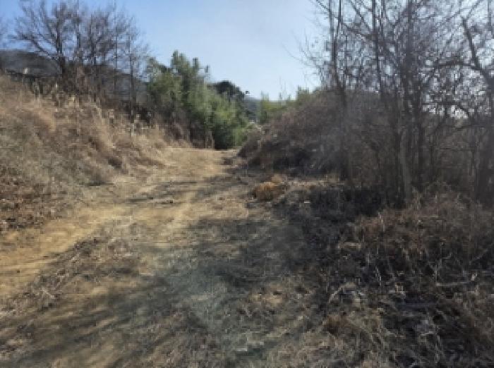 경북 경산시 용성면 대지,임야,전답 경매 물건 사진 4 · 2025타경1252