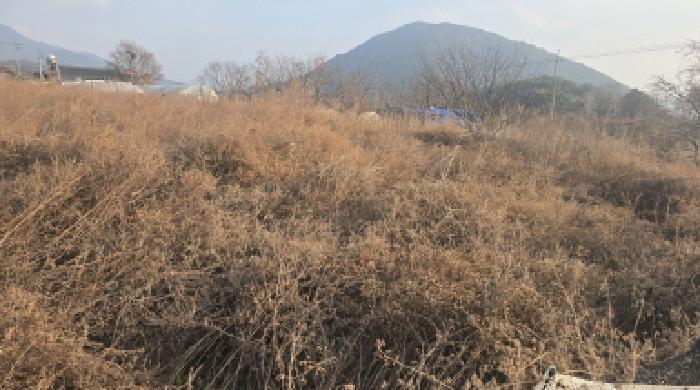 경북 칠곡군 동명면 전 경매 물건 사진