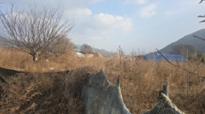 경북 칠곡군 동명면 전 경매 물건 사진 2 · 2025타경1255