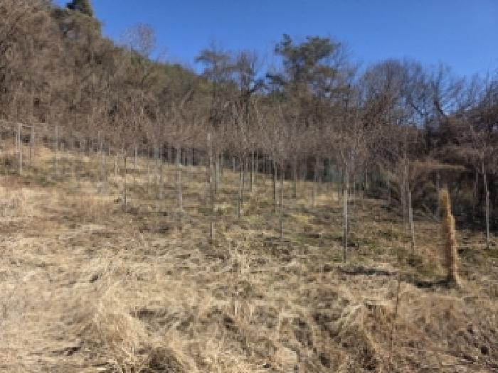 경북 청도군 이서면 대지,임야,전답 경매 물건 사진 2 · 2025타경1278
