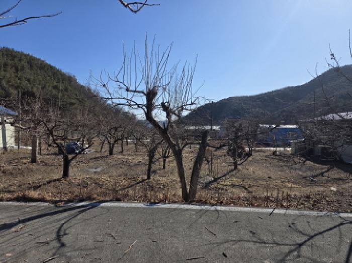 경북 청도군 이서면 대지,임야,전답 경매 물건 사진 5 · 2025타경1278