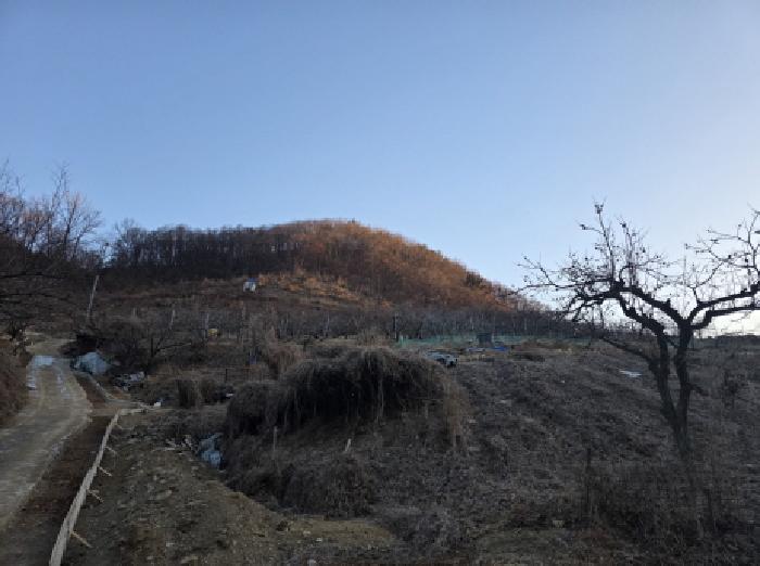 경북 청도군 화양읍 대지,임야,전답 경매 물건 사진