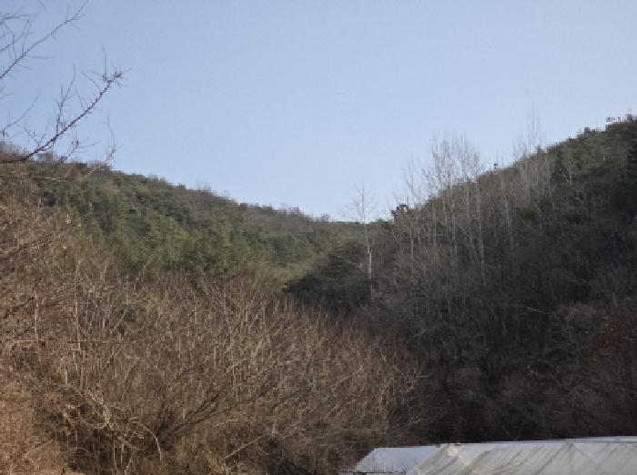 경북 영천시 고경면 임야 경매 물건 사진 2 · 2025타경1309