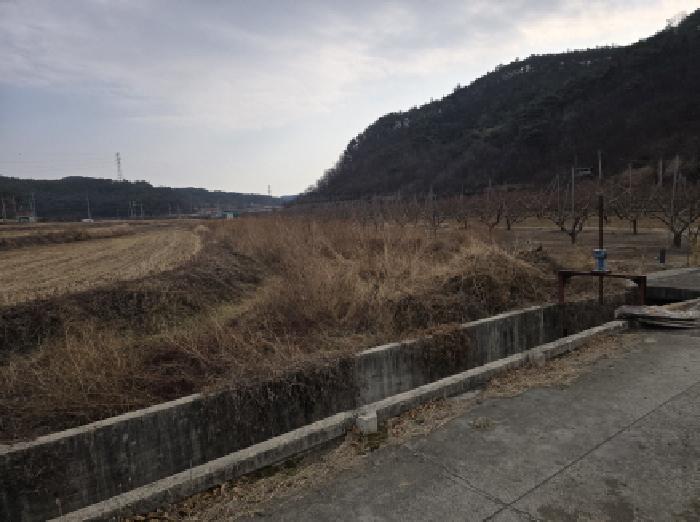 경북 영천시 고경면 임야 경매 물건 사진 3 · 2025타경1309