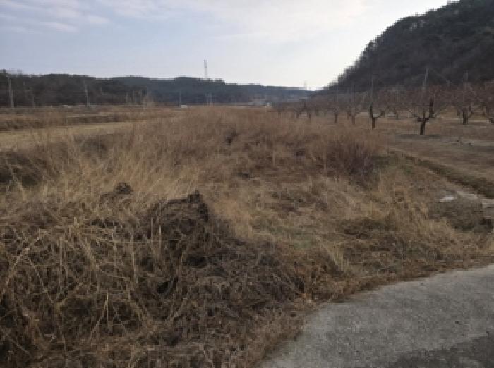 경북 영천시 고경면 임야 경매 물건 사진 4 · 2025타경1309