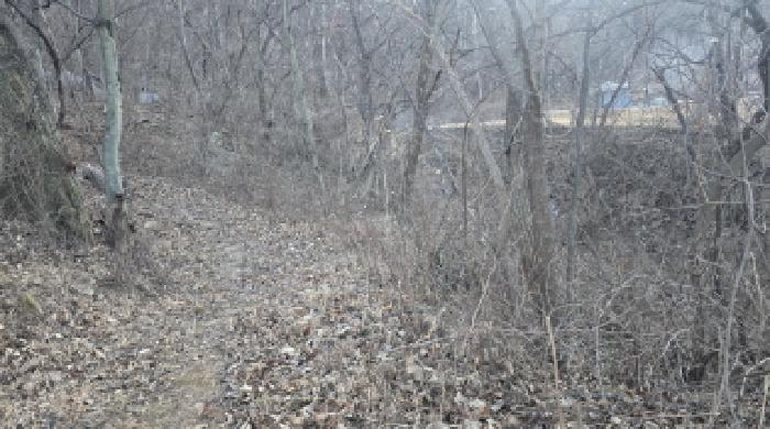 경북 칠곡군 기산면 대지,임야,전답 경매 물건 사진 2 · 2025타경1326