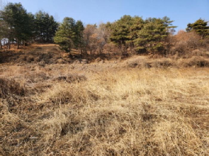 경북 영천시 화북면 대지,임야,전답 경매 물건 사진