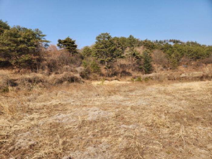 경북 영천시 화북면 대지,임야,전답 경매 물건 사진 4 · 2025타경1346