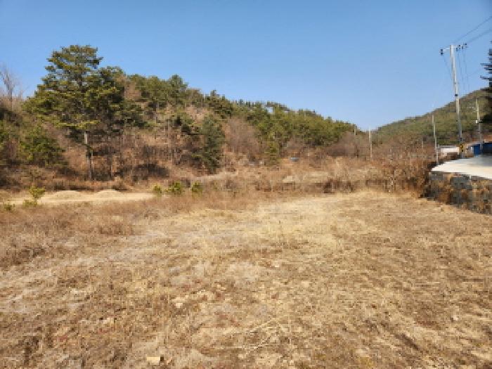 경북 영천시 화북면 대지,임야,전답 경매 물건 사진 5 · 2025타경1346