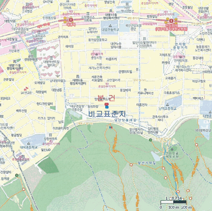 대구 남구 대명동 다가구주택 경매 물건 사진 3 · 2025타경1347