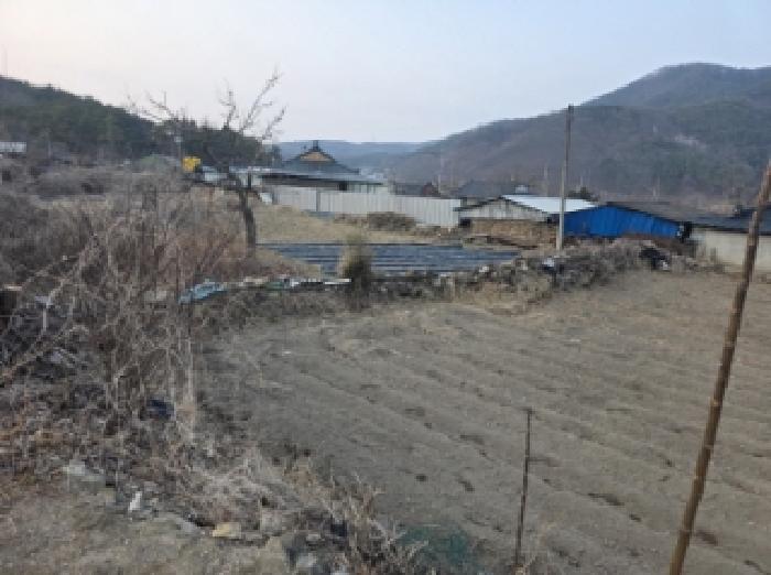 경북 청도군 금천면 대지 경매 물건 사진
