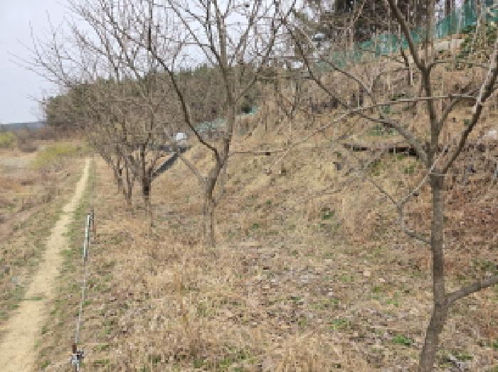 대구 수성구 매호동 답 경매 물건 사진 4 · 2025타경592