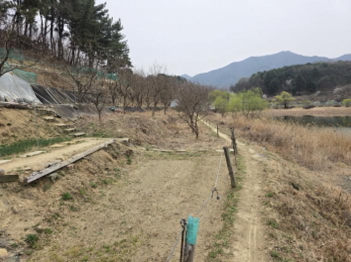 대구 수성구 매호동 답 경매 물건 사진 6 · 2025타경592