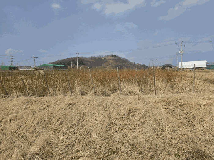 경북 경산시 하양읍 답 경매 물건 사진 4 · 2025타경6431