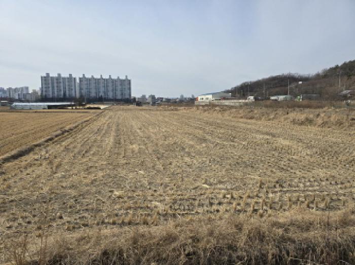 경북 경산시 하양읍 답 경매 물건 사진 2 · 2025타경6431