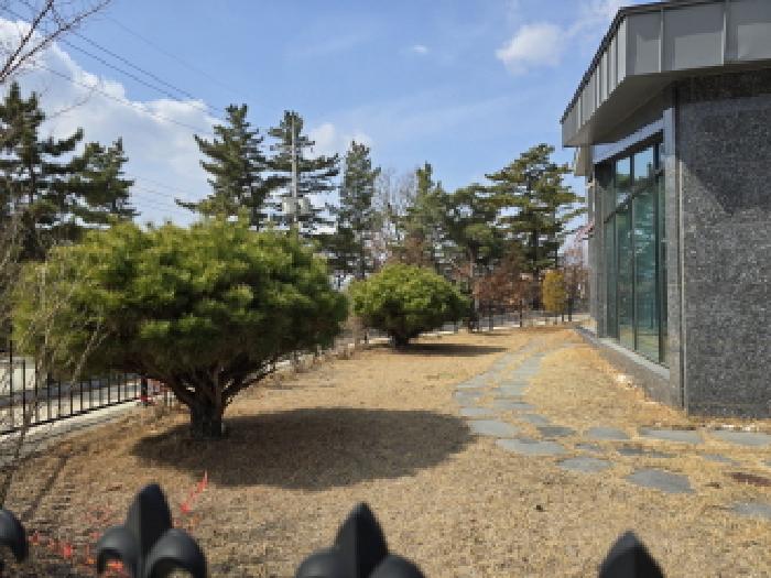경북 영천시 오미동 단독주택 경매 물건 사진