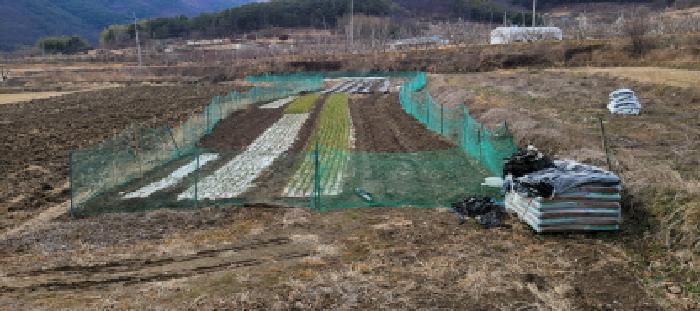 경북 청도군 풍각면 과수원 경매 물건 사진