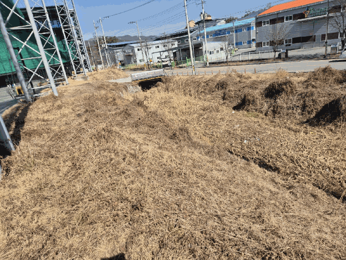 경북 칠곡군 왜관읍 대지 경매 물건 사진 6 · 2025타경7501
