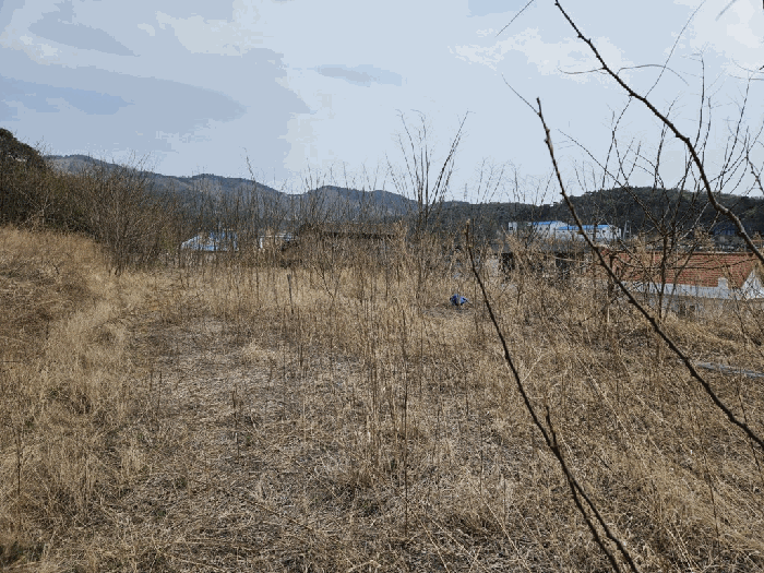 경북 칠곡군 왜관읍 과수원 경매 물건 사진 6 · 2025타경7659
