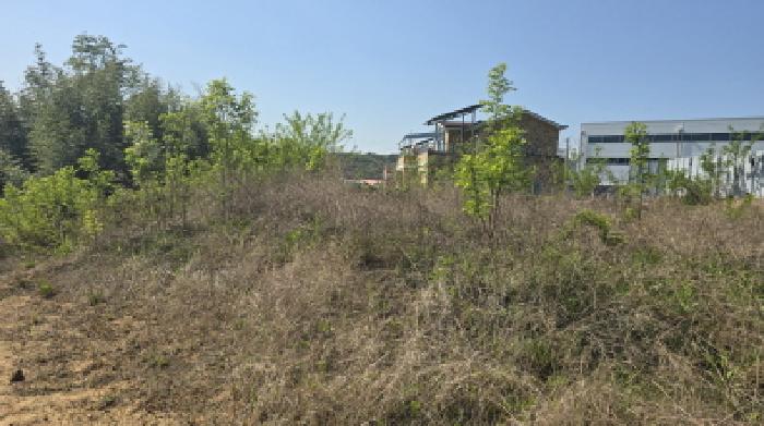 경북 칠곡군 왜관읍 과수원 경매 물건 사진 3 · 2025타경7659